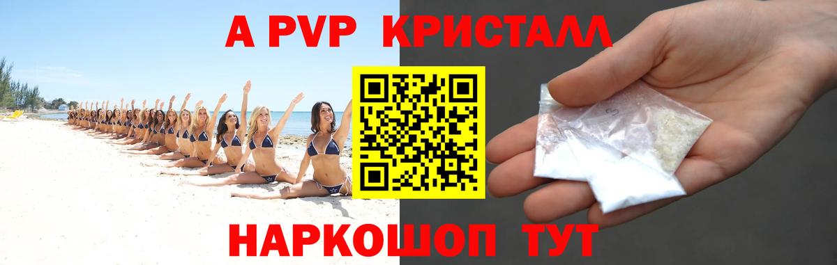 Альфа ПВП крисы CK Гатчина