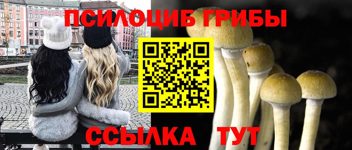 Галлюциногенные грибы Psilocybe  что такое наркотик  Гатчина  Вход с VPN 