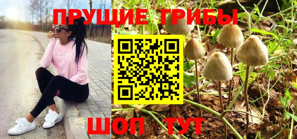 Галлюциногенные грибы мухоморы Гатчина